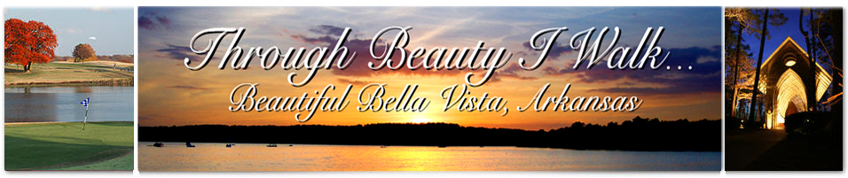 Beautiful Bella Vista Lake Loch Lomond Top Graphic with Golf Course and Cooper Chapel.